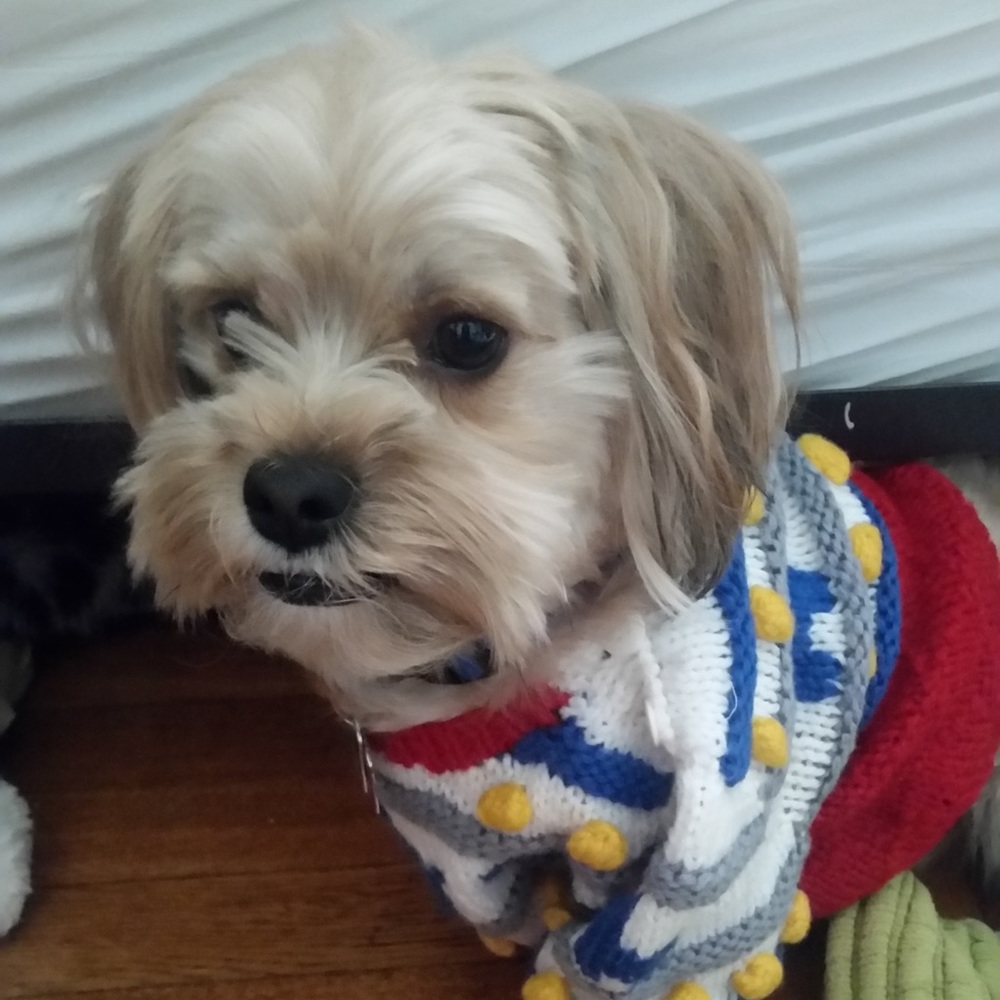 Meet your Posher, Tina